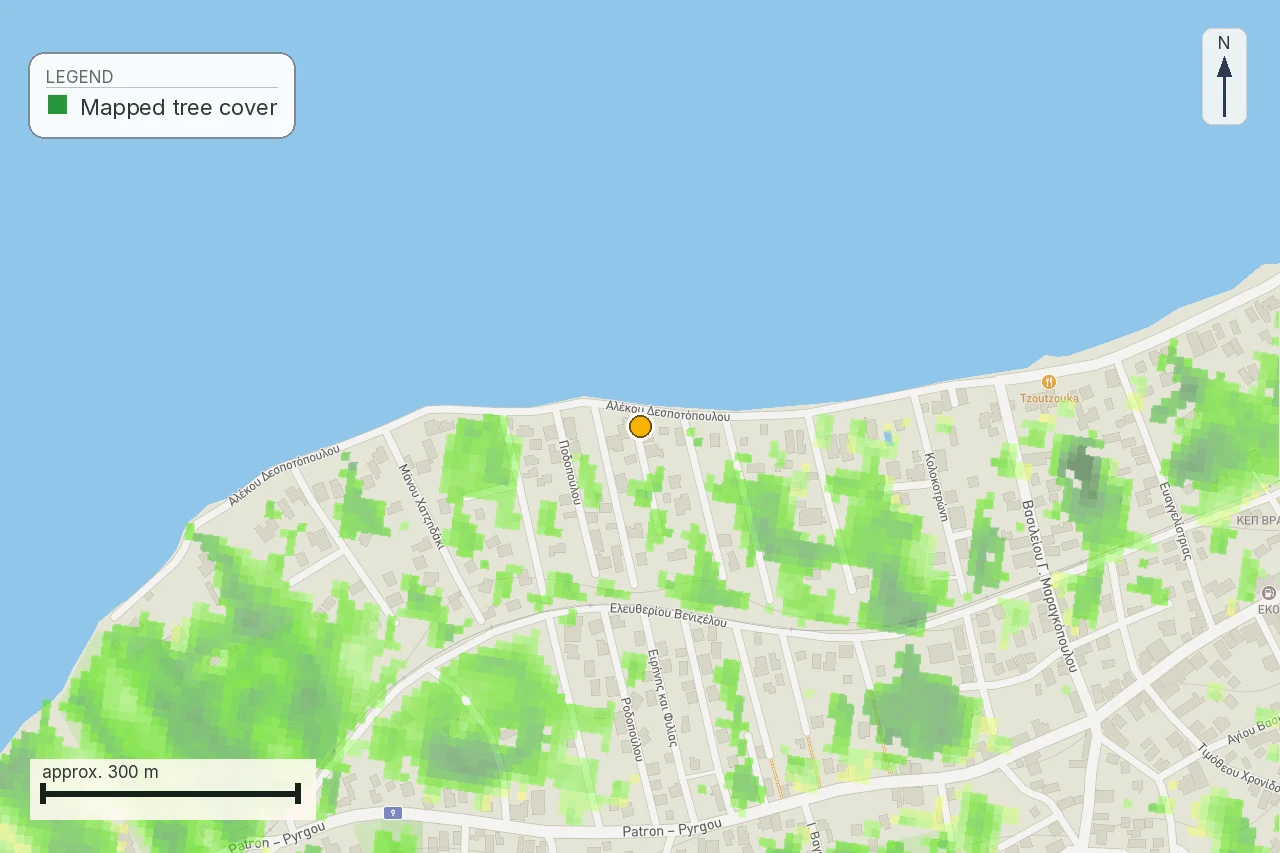 Anonymised report map with tree-cover context around a selected plot