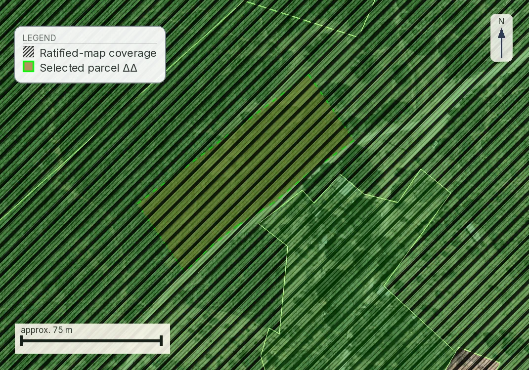 Ratified forest map hatched across the whole of a plot near Trikeri in Magnesia, with the mapped road reaching the parcel boundary
