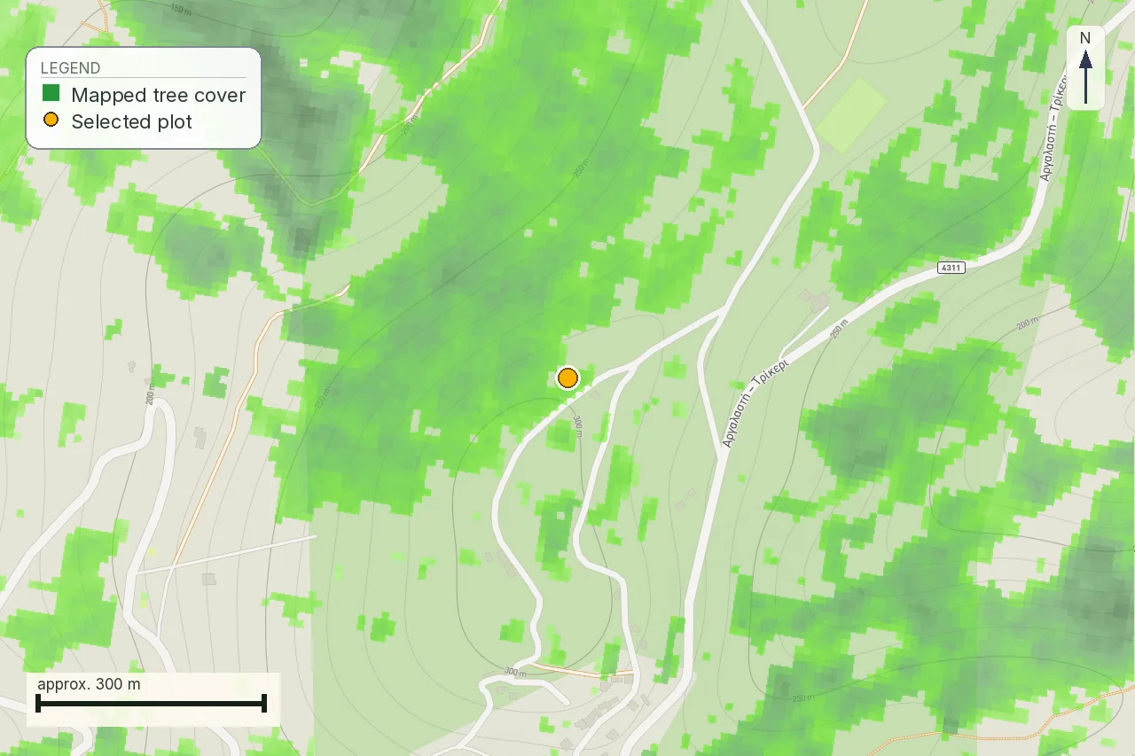 Satellite-derived tree cover around the Trikeri parcel, dense on every side
