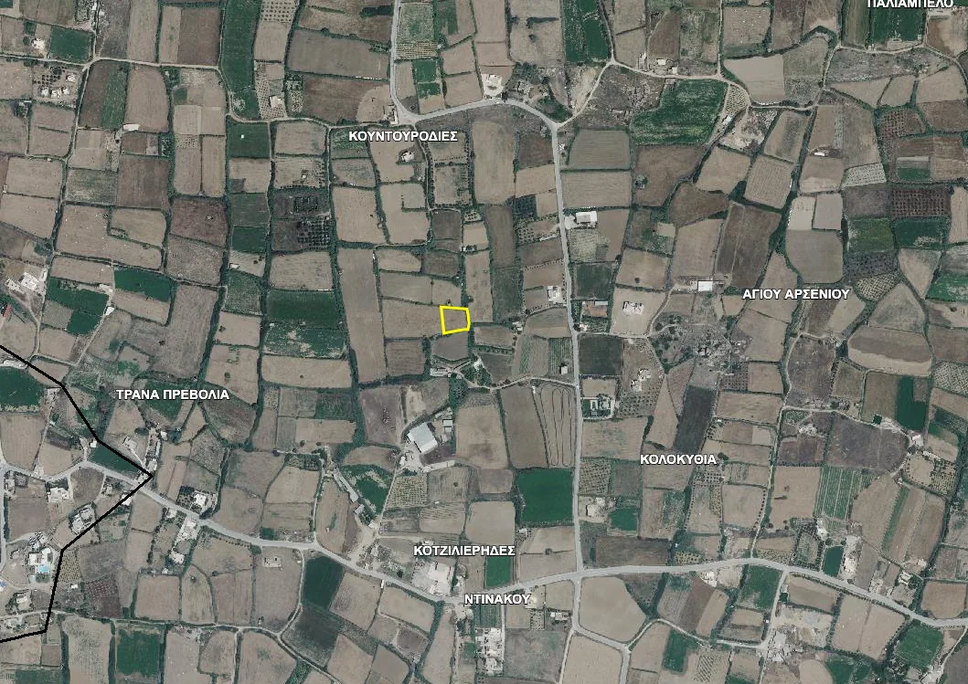 The state cadastre and forest-map viewer showing a small parcel near Agios Arsenios on Naxos outlined in yellow among neighbouring field boundaries