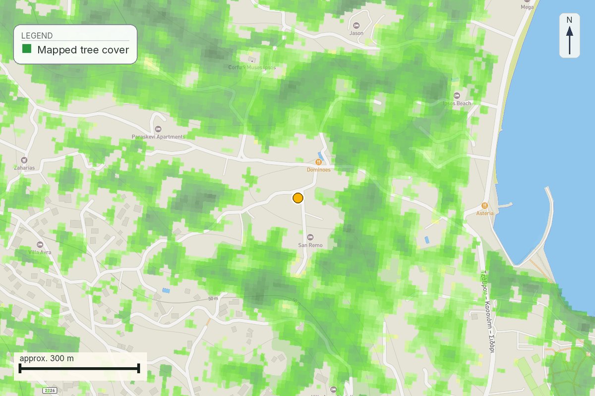Satellite tree-cover map showing mapped canopy on and around the plot