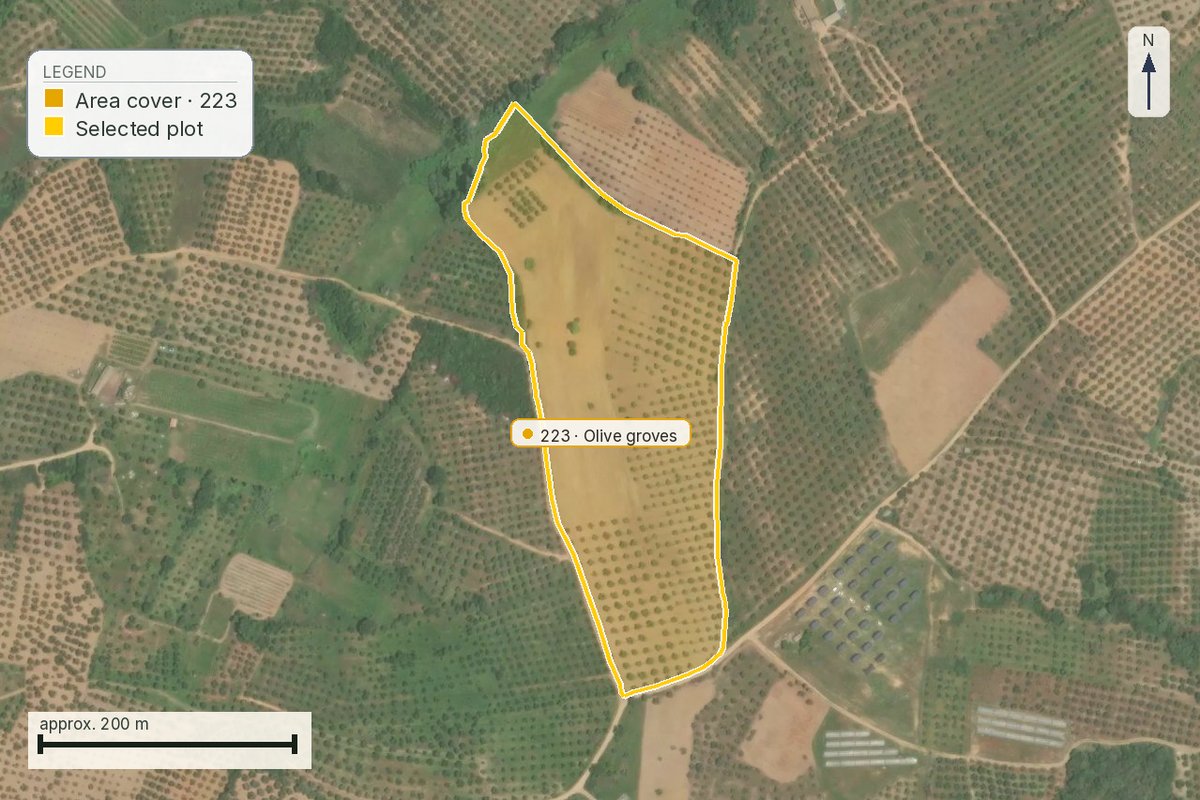 Land-cover map showing the parcel outlined on olive-grove farmland