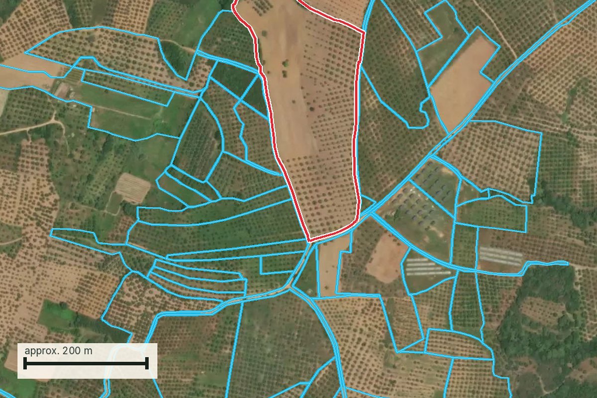 Cadastral map showing the selected parcel outline among its neighbouring parcels